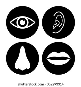 Collection of body parts - nose, eye, lips, ear - vector icon