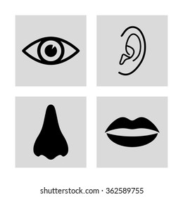 Collection of body parts - nose; eye; lips; ear -  vector icon