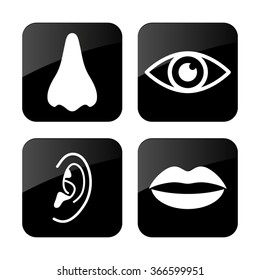 Collection of body parts - nose; eye; lips; ear  - vector icon