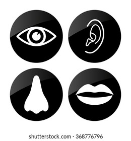 Collection of body parts - nose; eye; lips;  ear - vector icon