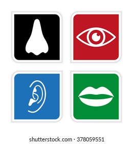 Collection of body parts - nose; eye; lips; ear  - vector icon