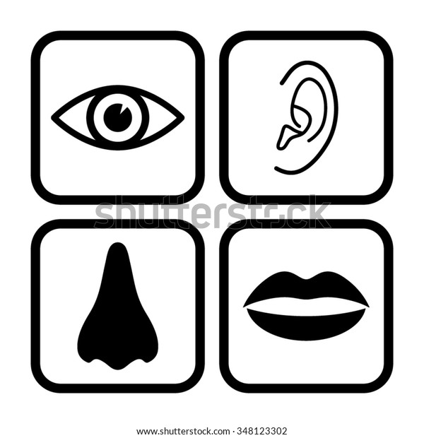 Collection Body Parts Nose Eye Lips Stock Vector (Royalty Free ...