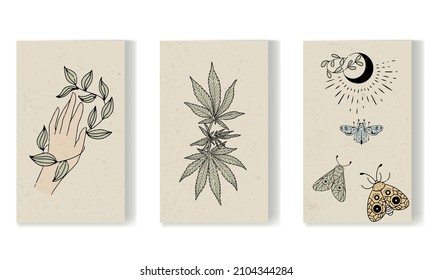 Colección de afiches tipo boho en papel texturado. Abstracciones con una rama en la mano, polillas, hojas de cannabis.