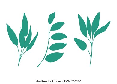 Colección de ramas botánicas con hojas de árbol, ilustración de arbustos aisladas a mano en fondo blanco para patrones, impresiones, decoración de vacaciones, diseño.