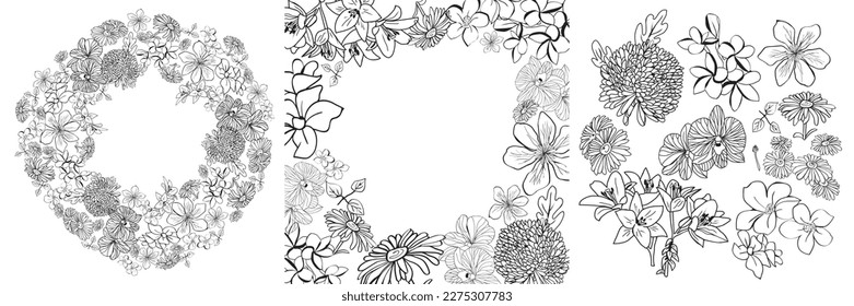 Collection of botanical elements in black and white sketch style. Trendy frame, trendy, set, botany, tropical, card.