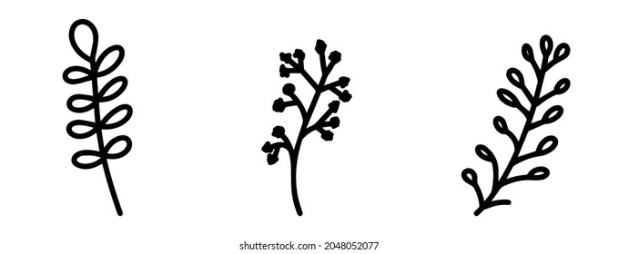 Colección de elementos botánicos para el diseño de postales, invitaciones, creación de logotipos o banners. Flores vectoriales negras y blancas, bayas, ramas y hojas para el diseño. Estilo simple y plano de doodle.