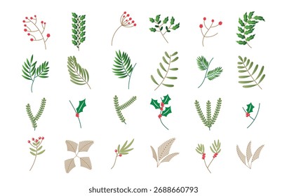 Coleção de folhas e bagas de elementos botânicos para ilustração de vetor de elemento de Natal