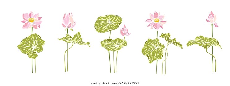 Colección de Elementos botánicos, flores de loto y cogollos. Gráficos de Vector.