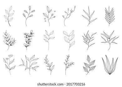 collection botanical floral hand drawn vector illustration eps 10
