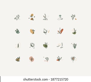 Collection of botanical, floral, herb illustrations and logo for social media. For designer, blogger, photographer, artist, lifestyle, beauty studio ets. 