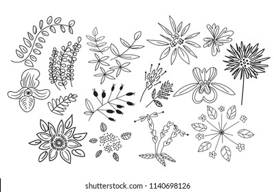 collection of botanical hand drawn doodles. meadow plants and flowers elements. pencil ink sketch of flowers and leaves