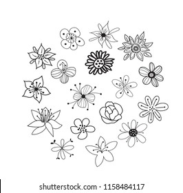 collection of botanical hand drawn doodles. meadow plants and flowers elements. pencil ink sketch of flowers and leaves. vector set of decorative elements. 