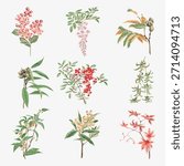 Collection of botanical illustrations featuring various plants and leaves. Delicate floral designs, vibrant leaves, and intricate plant details in a vintage style. Winter illustration vector.