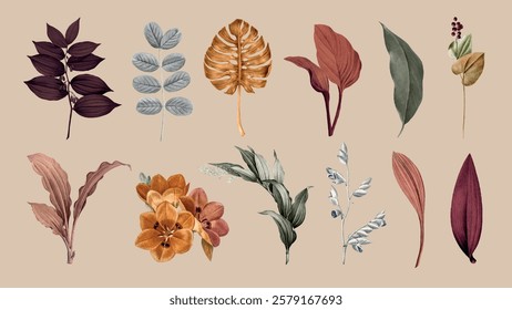 A collection of botanical illustrations featuring various leaves and flowers. Includes diverse leaf shapes and floral designs in earthy tones on a beige background. Nature illustrations, vector set.