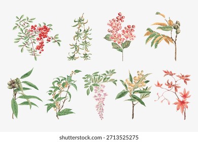 Coleção de ilustrações botânicas com várias plantas e flores. Delicados desenhos florais, mostrando a beleza da natureza. Perfeito para os amantes da arte botânica. Vetor de ilustração de inverno.