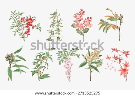 Collection of botanical illustrations featuring various plants and flowers. Delicate floral designs, showcasing nature's beauty. Perfect for botanical art lovers. Winter illustration vector.