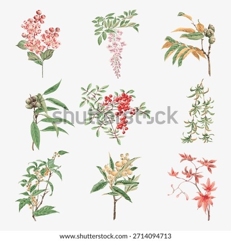 Collection of botanical illustrations featuring various plants and leaves. Delicate floral designs, vibrant leaves, and intricate plant details in a vintage style. Winter illustration vector.