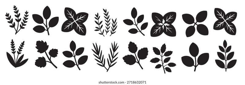 collection of botanical leaf silhouette