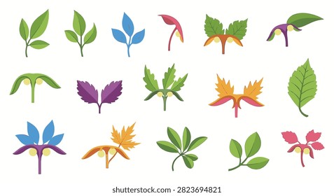 Collection of botanical leaf and stipule variations featuring diverse foliage shapes, colorful stems, and small nodes in green, blue, and orange tones isolated on white background.