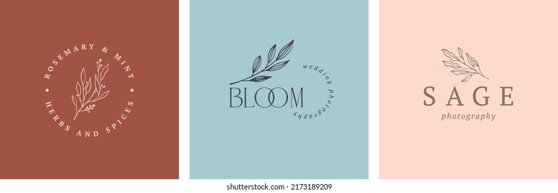 Collection of Botanical Minimalistic, Feminine Logos with Organic Plant Elements