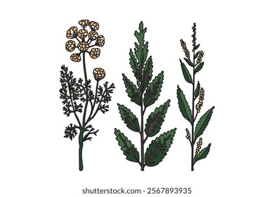Collection botanical plants in pastel colors on white background. Hand drawn flower bouquet vector illustration. Trendy graphic for product design wedding invitation greeting card poster flyer event