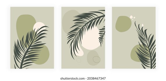 Collection of botanical posters. Modern art with fern leaves, branches and spots. Organic templates. Design elements for decorating walls in room. Cartoon flat vector set isolated on white background