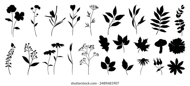 Colección del Vector botánico del elemento de la silueta. Conjunto de planta tropical, flor silvestre, rosa, hongo, arce, hoja de ginkgo, eucalipto. Dibujado a mano de botánico para decoración, Sitio web, gráfico, decorativo.