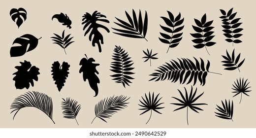 Collection of botanical silhouette element vector. Set of tropical plant, foliage, banana leaf, monstera, palm leaves. Hand drawn of botanical for decor, website, graphic, decorative.