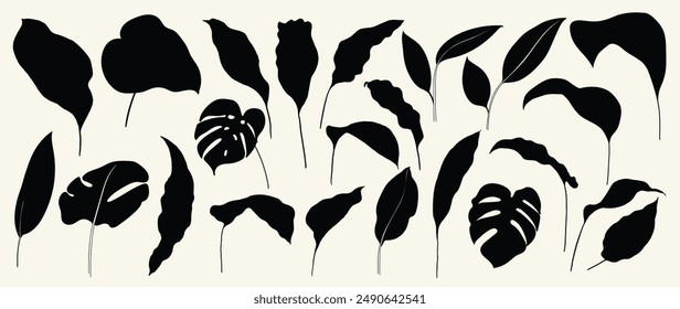 Collection of botanical silhouette element vector. Set of tropical plant, foliage, banana leaf, monstera. Hand drawn of botanical for decor, website, graphic, decorative.
