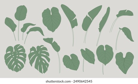 Collection of botanical silhouette element vector. Set of tropical plant, foliage, banana leaf, monstera, lotus leaf. Hand drawn of botanical for decor, website, graphic, decorative.