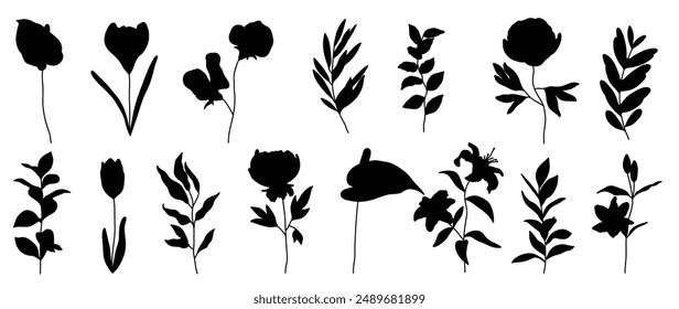 Collection of botanical silhouette elements vector. Set of tropical plants, floral, anthurium flower, rose, eucalyptus leaves. Hand drawn of botanical for decor, website, graphic, decorative.