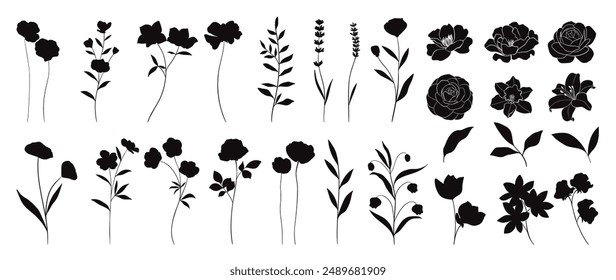 Colección de Vector de Elementos de silueta botánica. Conjunto de plantas tropicales, flor silvestre, rosa, flor de lirio, hojas de eucalipto. Dibujado a mano de botánico para decoración, Sitio web, gráfico, decorativo.