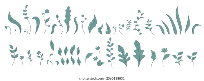 Collection of botanical silhouettes, featuring various leaves, plants, stems, and floral elements.