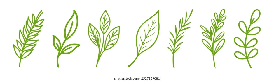 Collection botanical vector. Hand drawn green leaf and branch illustration. 