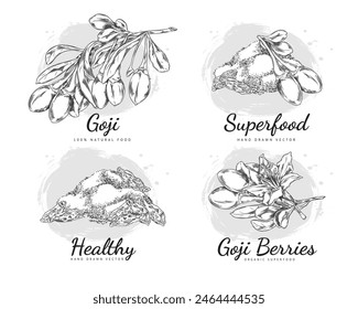 A collection of botanical vector icons in the style of a sketch: goji berries, a twig with flowers and leaves, freeze-dried powder are ideal for the theme of healthy eating