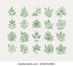 A collection of botanical-themed vector illustrations. The style is elegant, with detailed green line art. Perfect for enhancing nature-themed design projects or creating decorative elements.