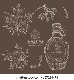 Collection of a bottle of maple syrup and maple leaves. Hand drawn