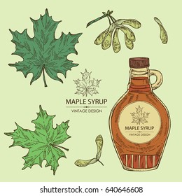 Collection of a bottle of maple syrup and maple leaves. Hand drawn