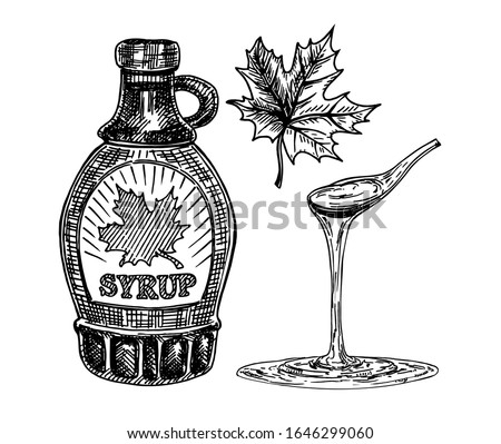 Collection of a bottle of maple syrup and maple leaves. Maple syrup dripping from a spoon. Hand drawn