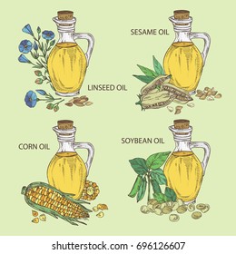 Collection of bottle with soybean oil,  flax oil  bottle with sesame oil and corn oil. Vector hand drawn illustration
