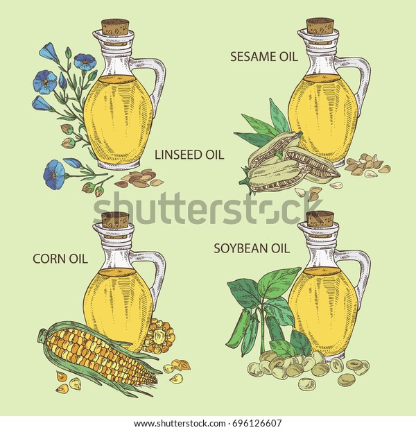 Download Collection Bottle Soybean Oil Flax Oil Stock Vector Royalty Free 696126607 PSD Mockup Templates
