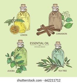 Collection of bottles with essential oils: essential oil of jojoba,cinnamon, lemon and essential oil of tea tree. Cosmetic, perfumery and medical essential oils. Vector set hand drawn illustration.