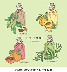 Collection of bottles with essential oils: essential oil of shea nuts, grapefruit, apricot and eucalyptus. Cosmetic, perfumery and medical essential oils.Vector set hand drawn illustration.