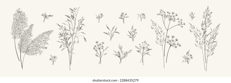 Collection of bouquets of meadow herbs. Botanical set with wild herbs. Black and white. Line art style. Vector illustration.