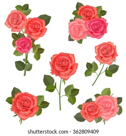 collection bouquets of roses for your design.