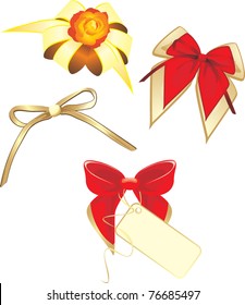 Collection of bows isolated on the white. Vector