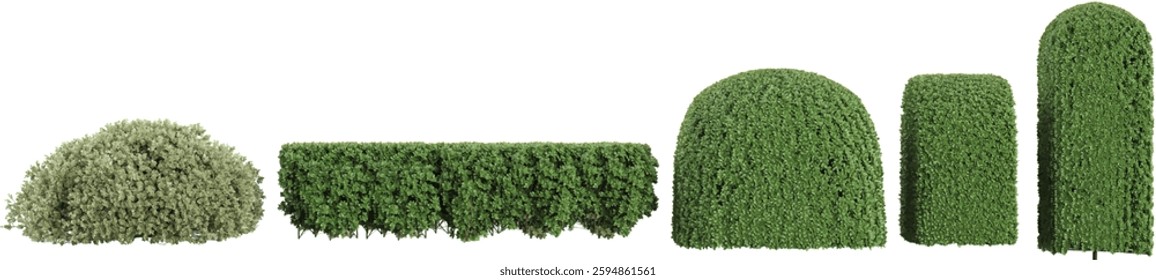 collection of Boxwood trees on transparent background