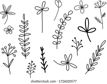  collection with branches, flowers and herbs with leaves. Black silhouettes isolated on white background. Set of hand drawn vector decorative elements for your design. Ink illustration.