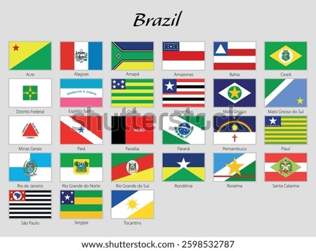 A collection of Brazilian state flags displayed with names labeled underneath, arranged neatly in a grid