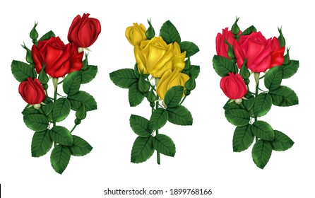 Colección de rosas 3D brillantes sobre un fondo blanco. rosas rojas y amarillas con follaje verde. Rosas de un jardín floreciente. Ilustración del vector
